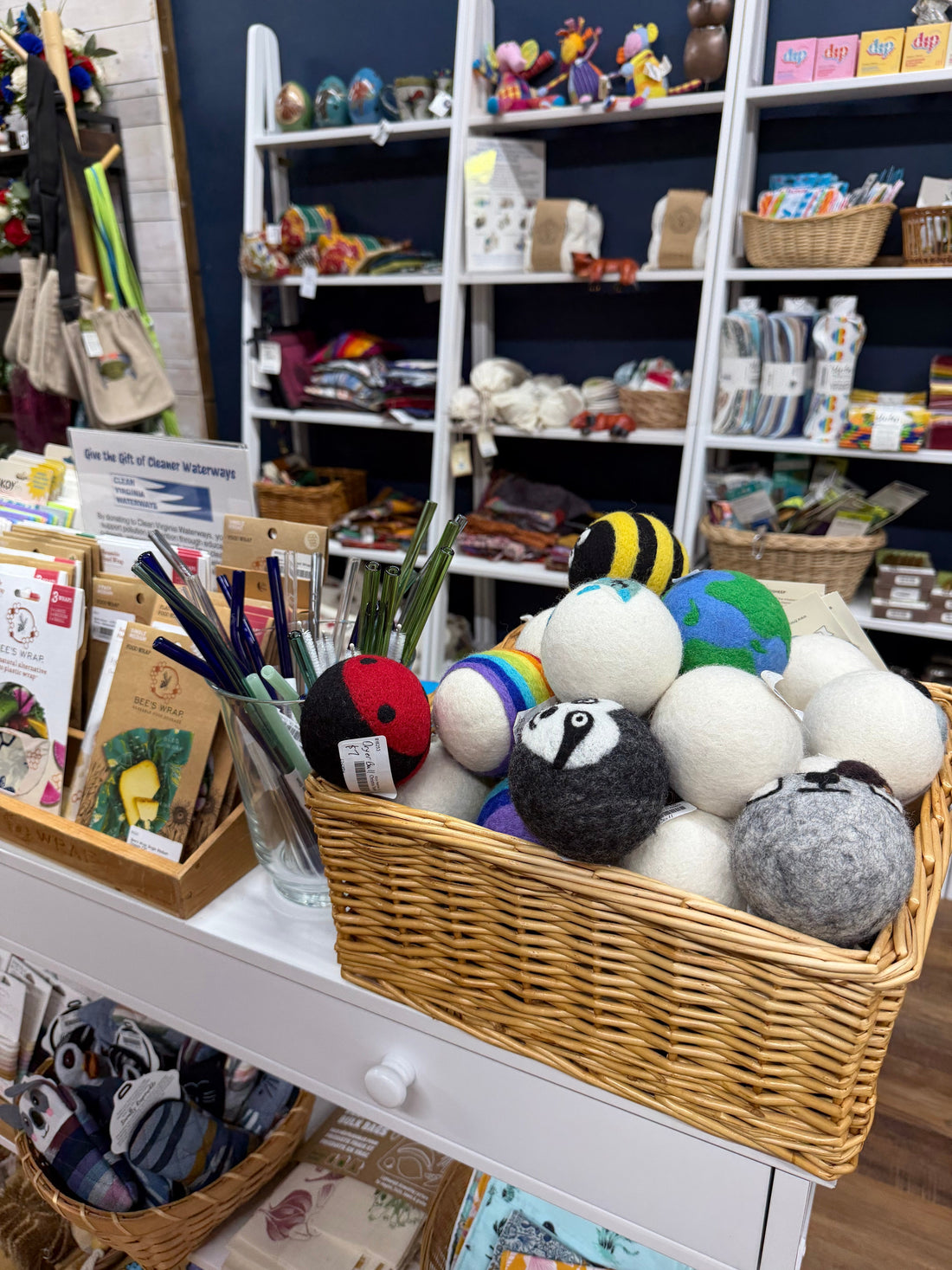 Small Changes, Big Impact: Shop Eco-Maniac Company at The Lazy Daisy VB!