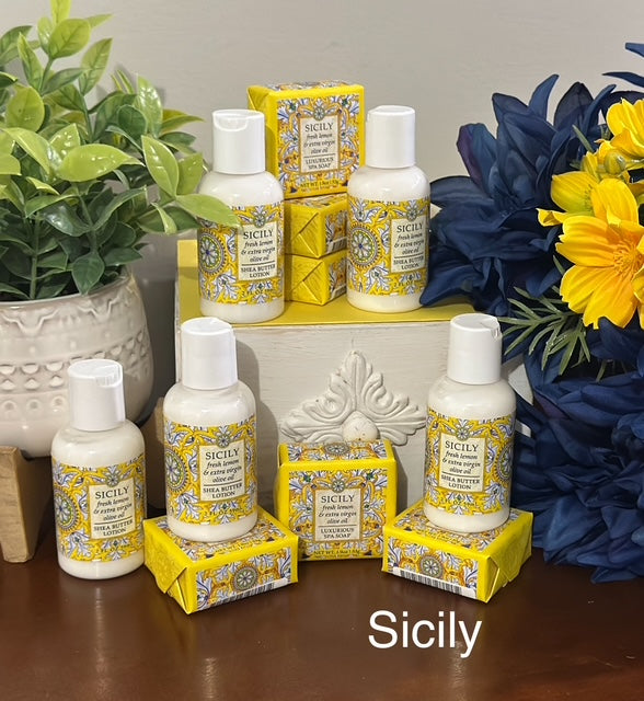 Travel Lotion & Soap