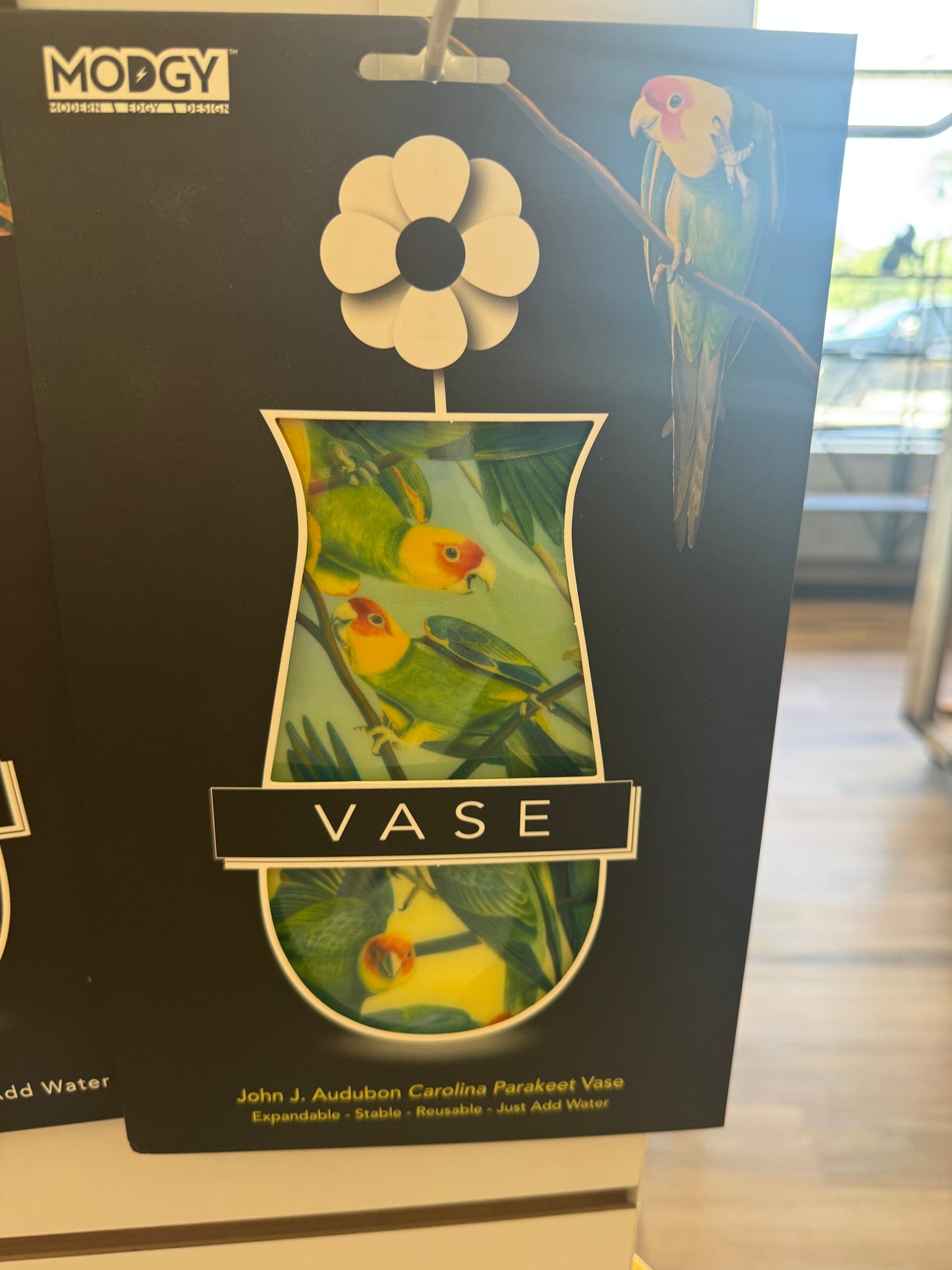 Expandable Vase