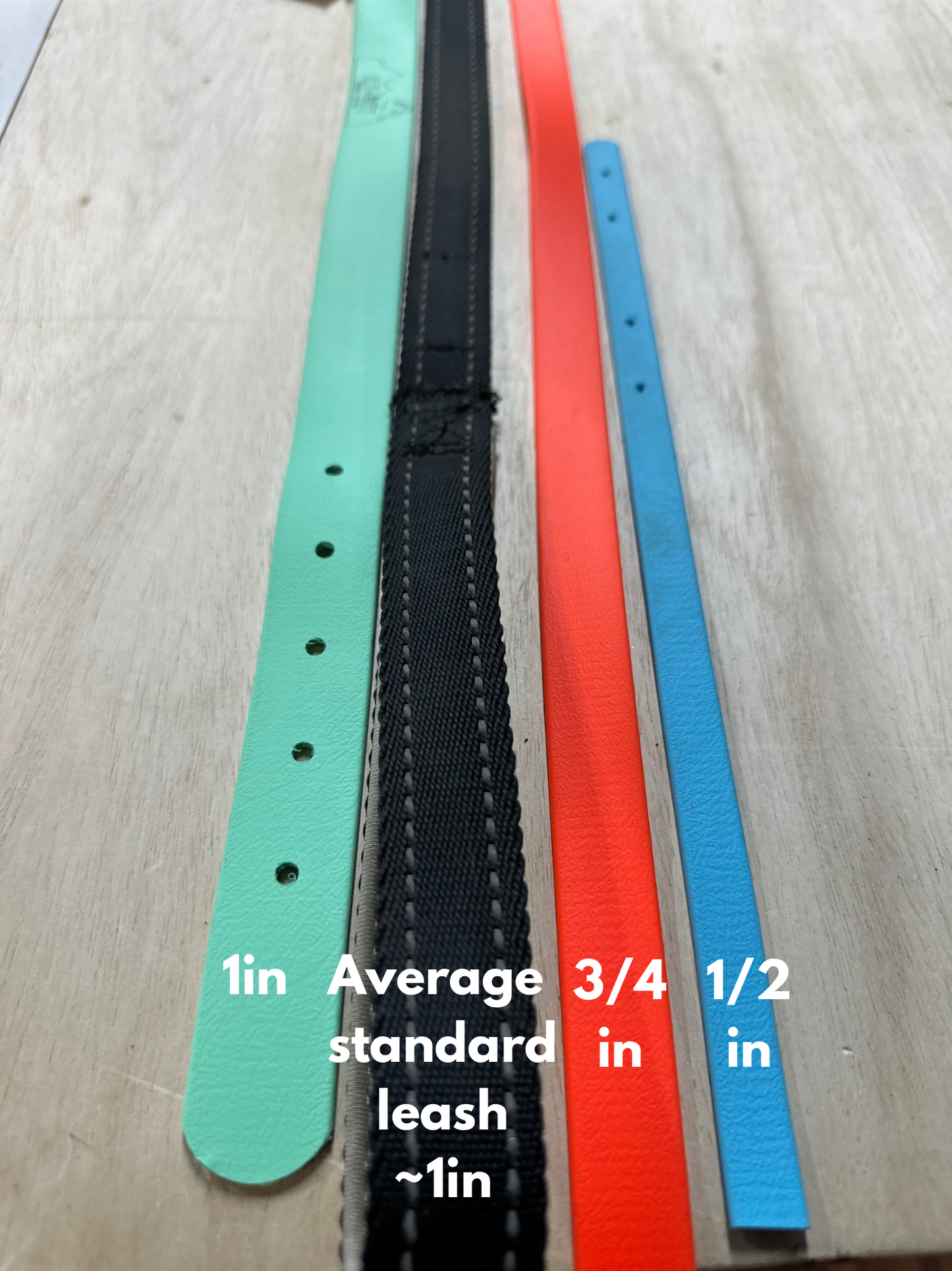 20ft Biothane Long Line
