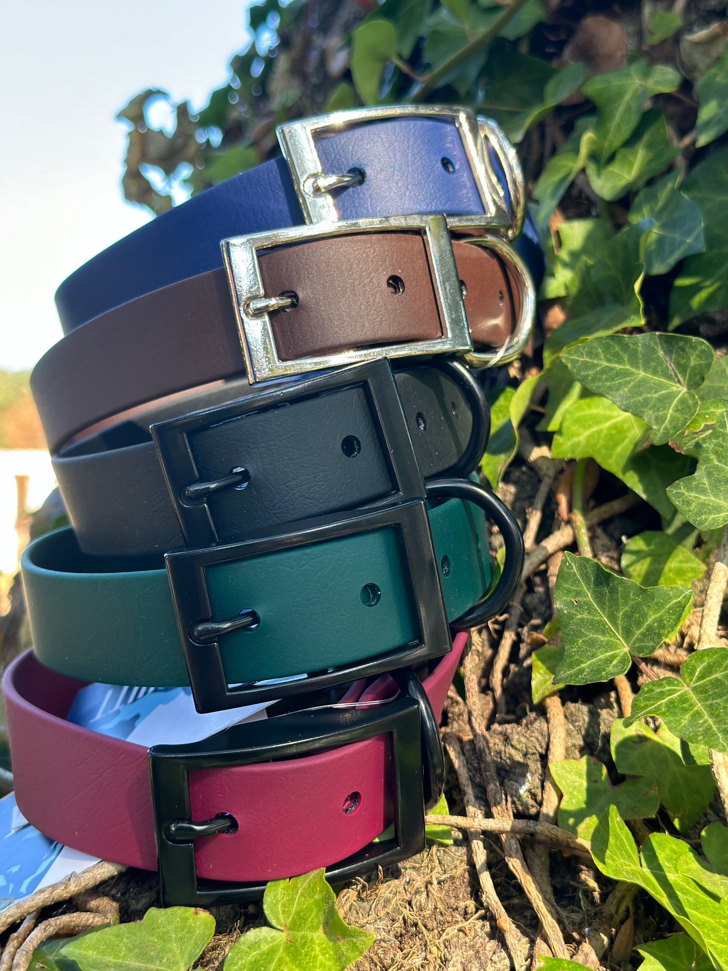 1 in Flat Collars